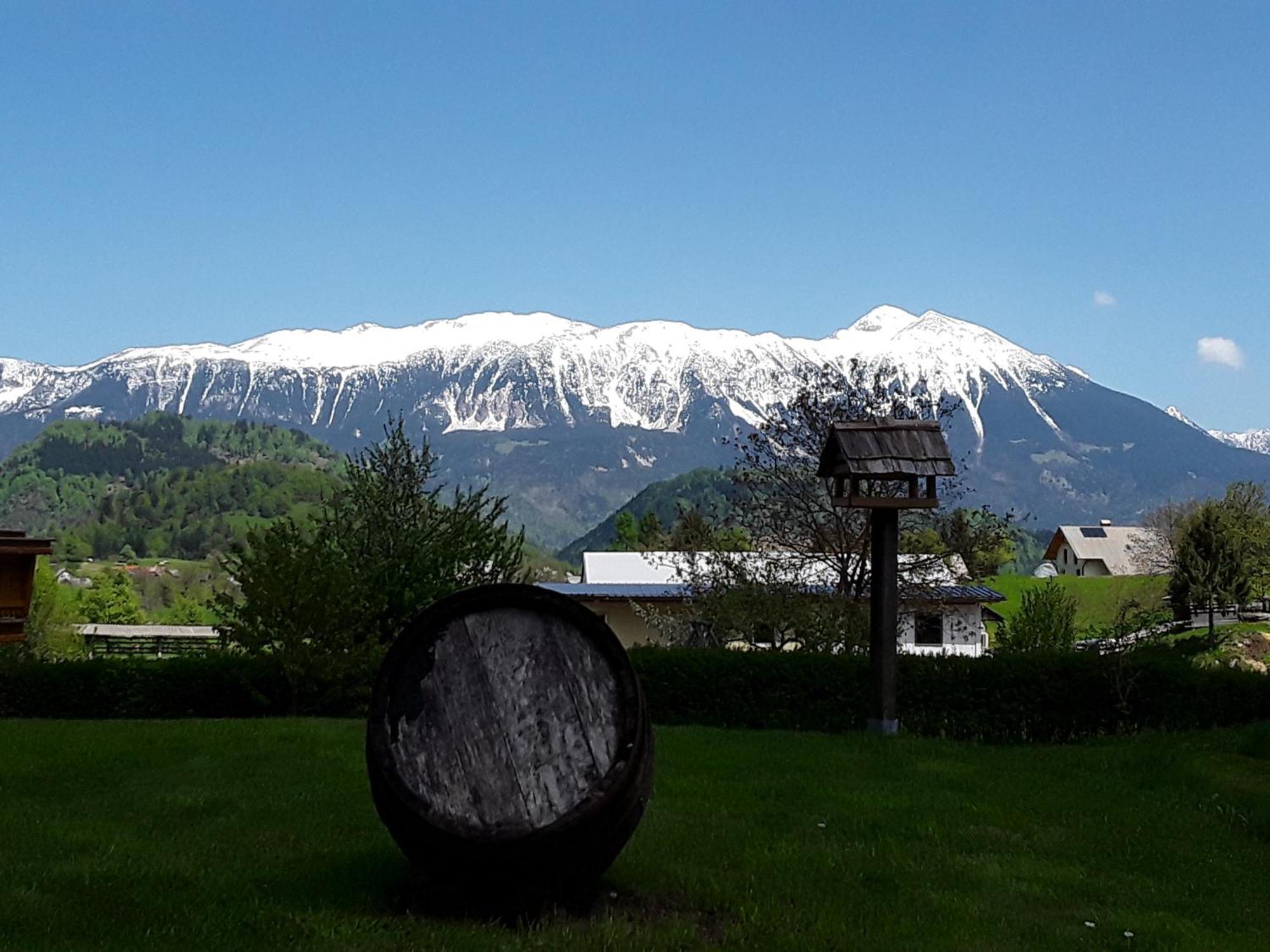 Apartment Natur Bled Zewnętrze zdjęcie