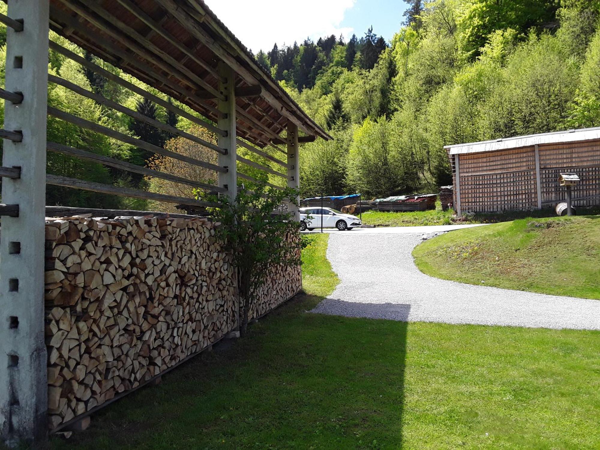 Apartment Natur Bled Zewnętrze zdjęcie