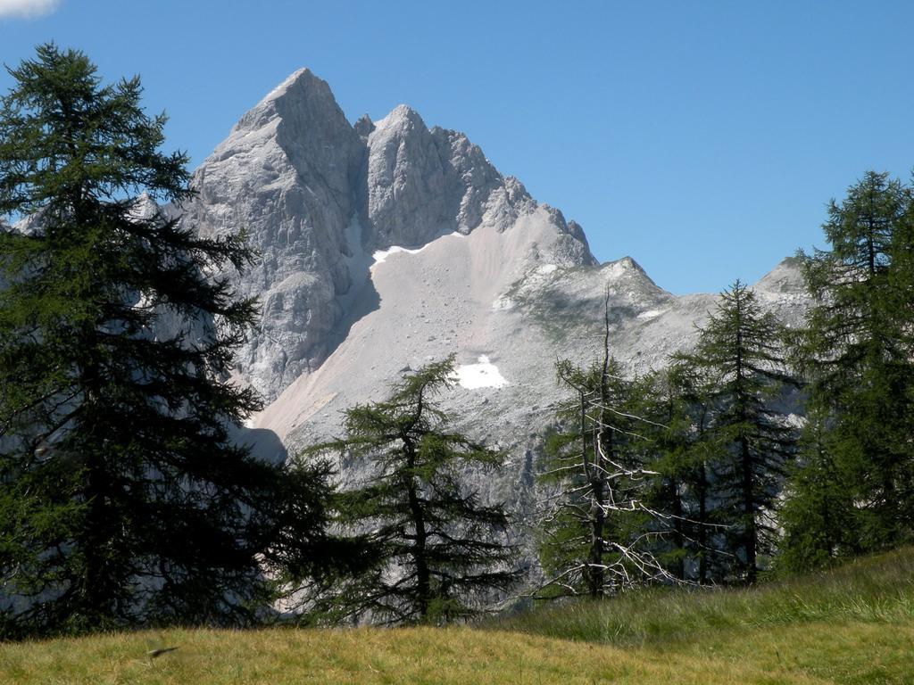 Apartment Natur Bled Pokój zdjęcie